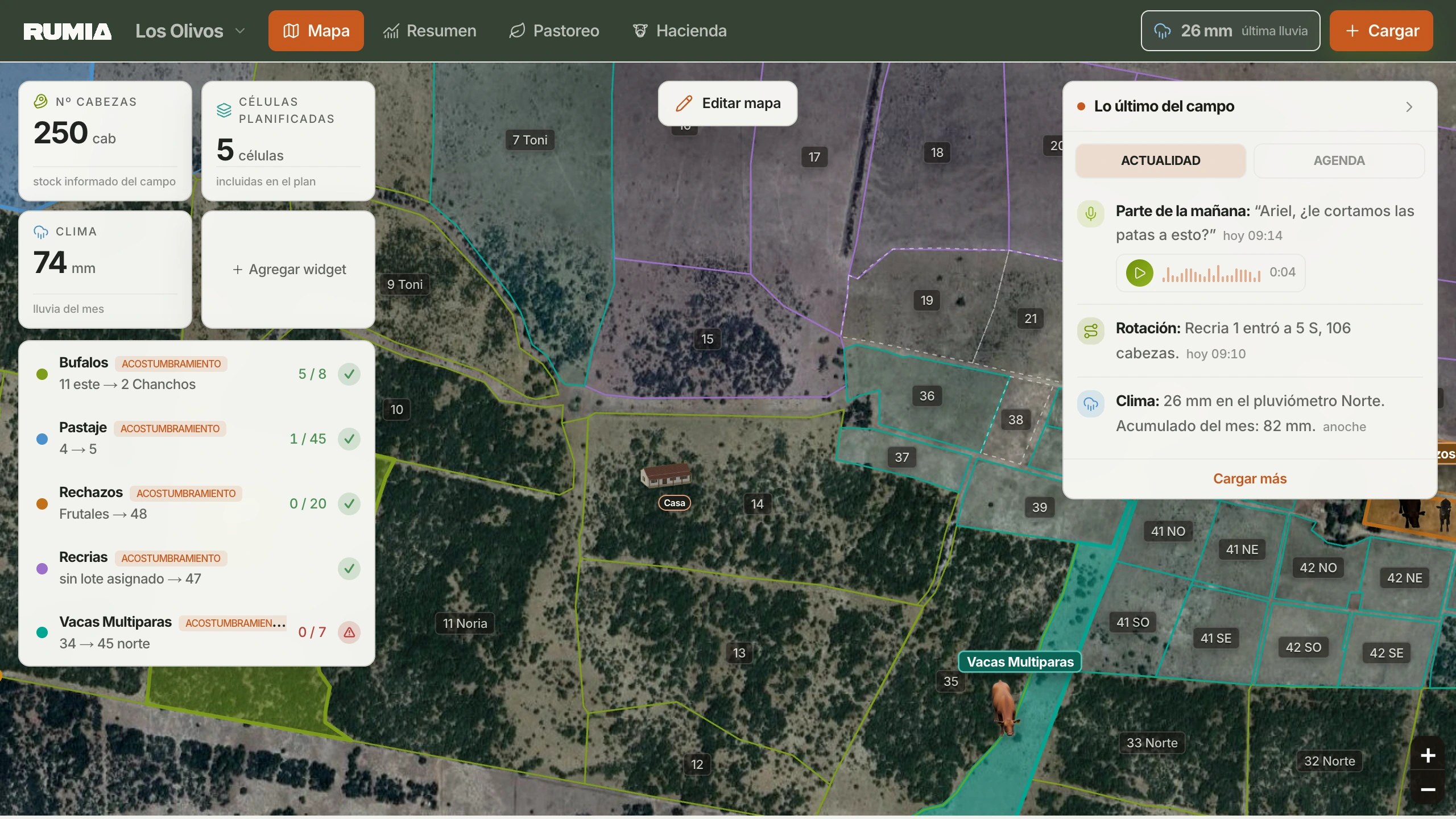 Mapa original de Los Olivos en RUMIA, con células, indicadores y actividad.