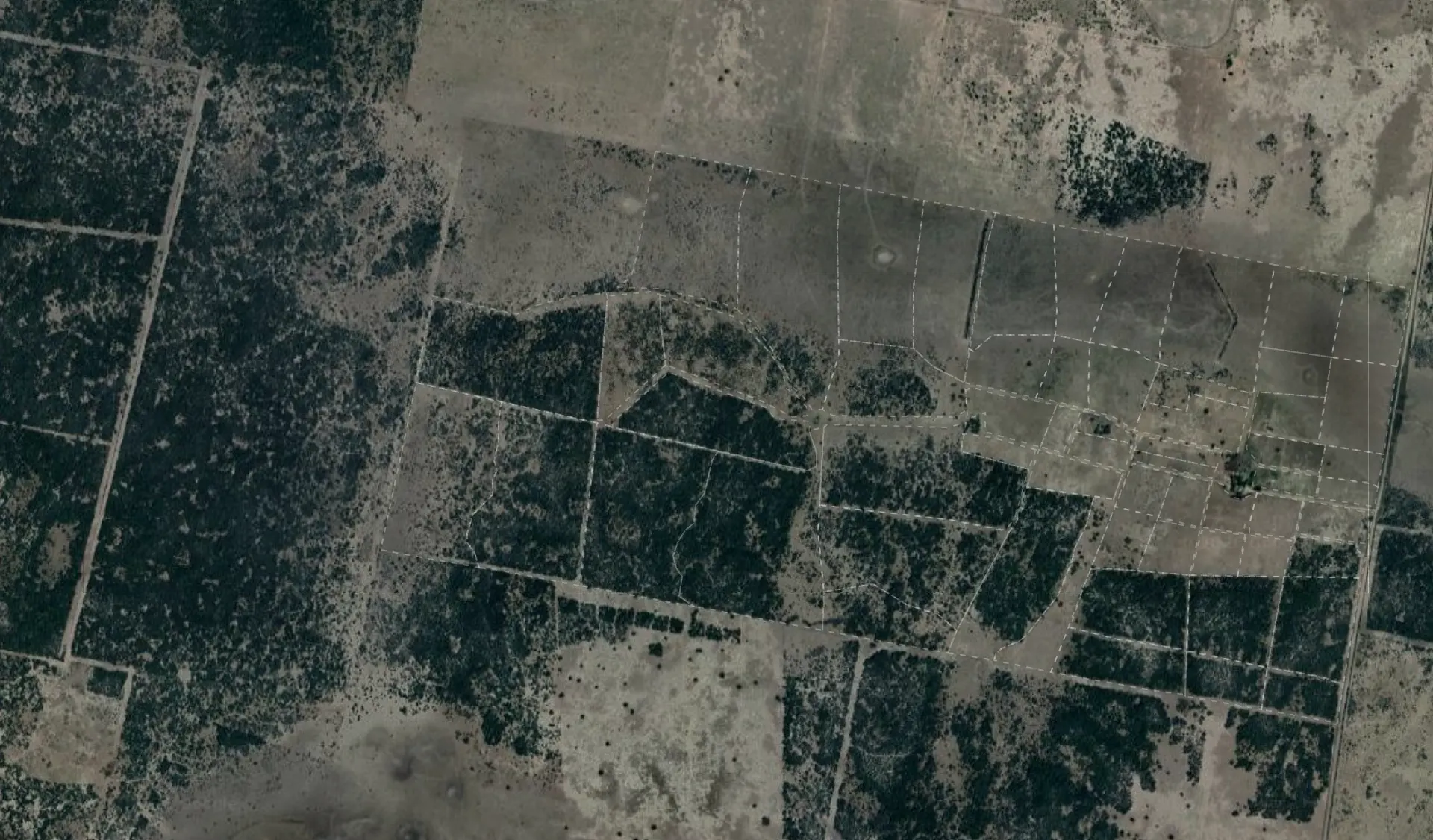 Campo completo. En la demostración, solamente Pastaje se mueve del lote 4 al 5.
